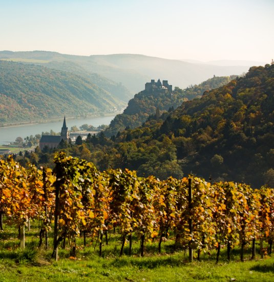 Blick über Oberwesel | © Henry Tornow