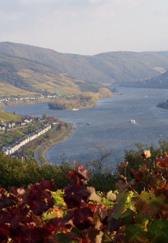 Rhein und Weinberge im Herbst | © Ingrid Kachel