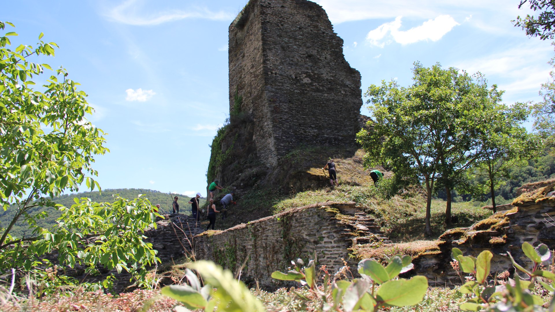 Die Welterbe Volunteers waren auf der Ruine Stahlberg in Bacharach Steeg im Einsatz.  | © ZV Welterbe 