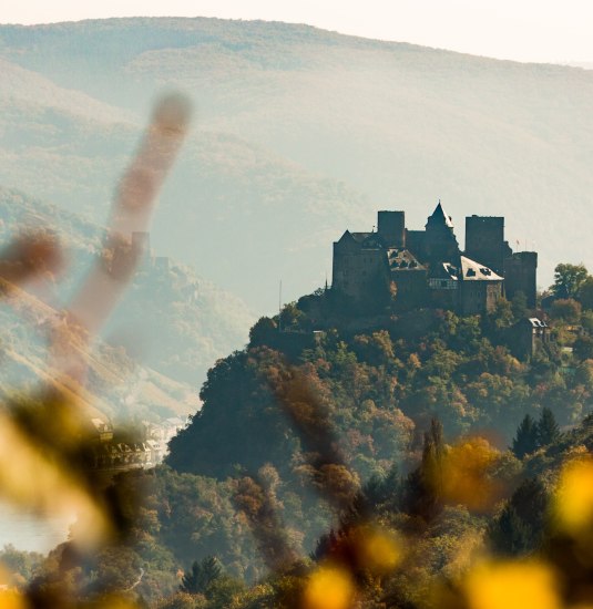 Blick auf die Schönburg | © Henry Tornow