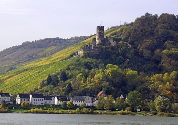 Ruine Fürstenberg | © Friedrich Gier