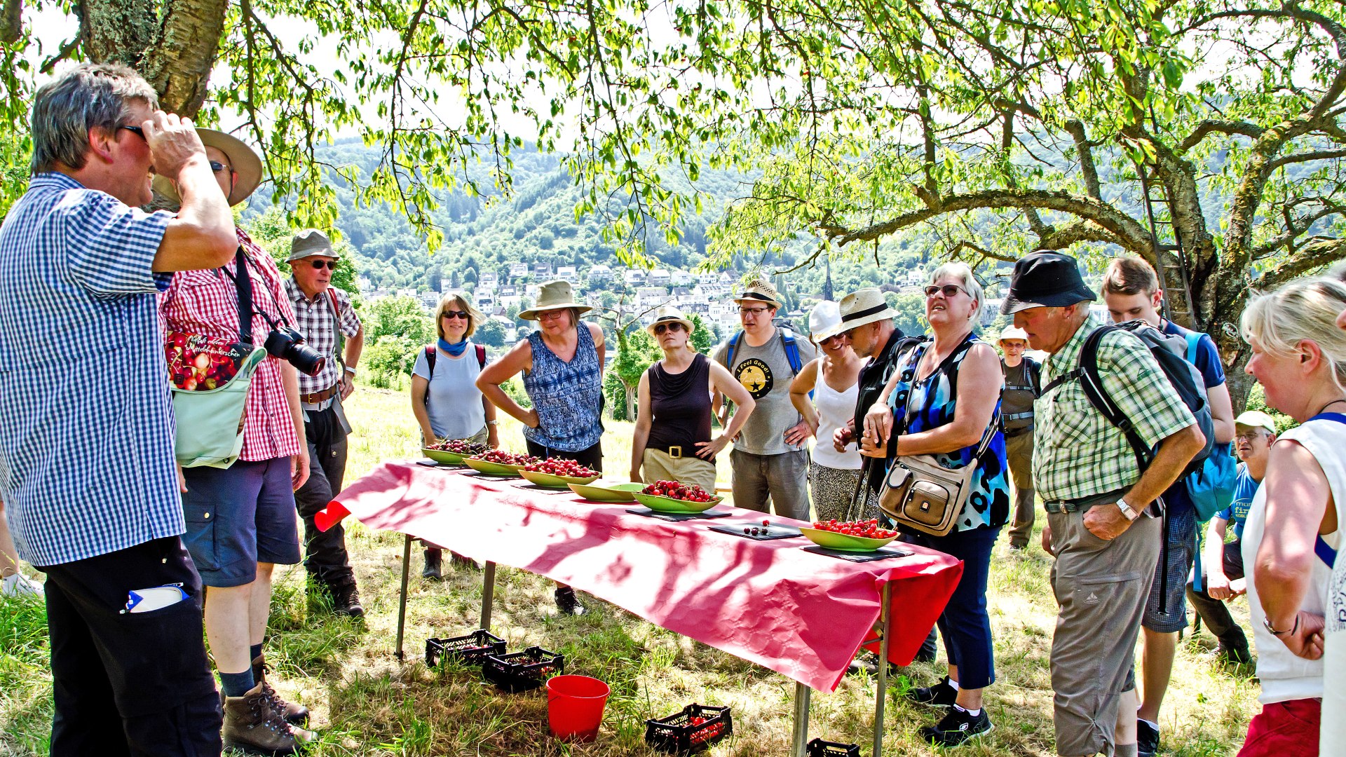 Kirschwanderung in Filsen | © ZV Welterbe