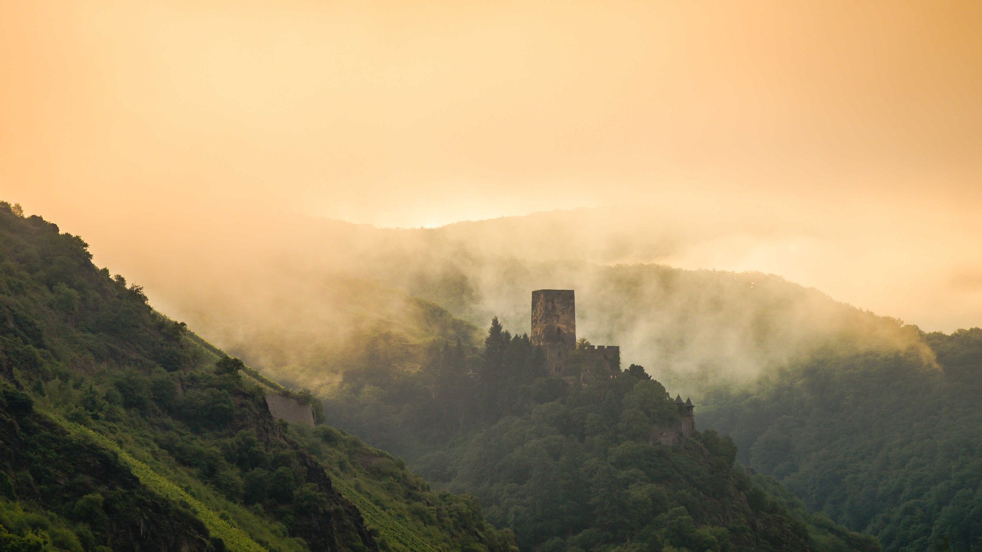 Burg im Morgenlicht | © P!EL