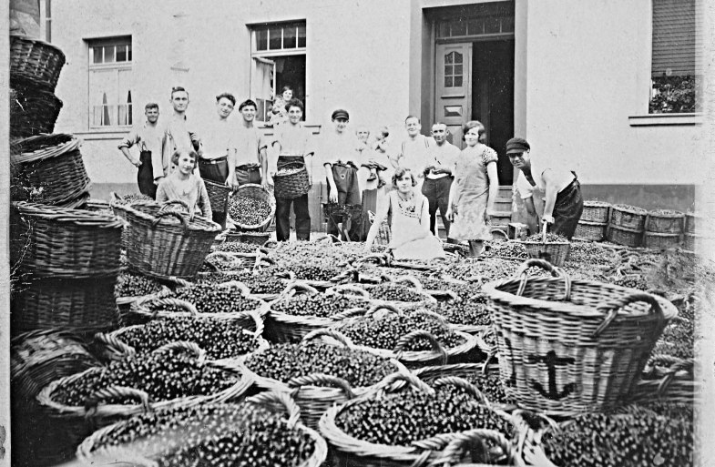 Kirschenablieferung 1928 in Kestert | © Norbert Güllering