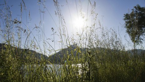 Ausblick Marksburg | © Ferienwohnung Marksburg-Panorama