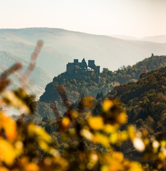 Blick auf die Schönburg | © Henry Tornow