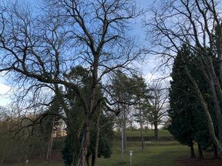 Park | © Tourist Information Boppard