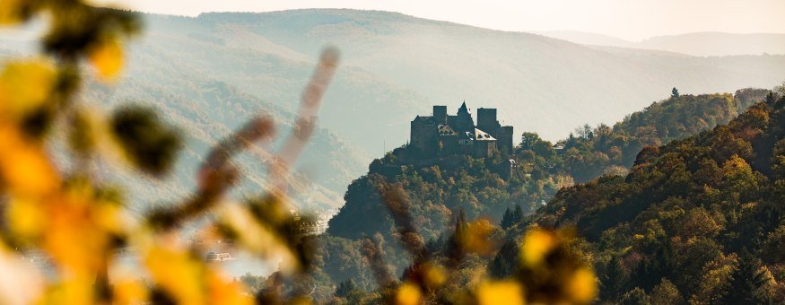 Blick auf die Schönburg | © Henry Tornow