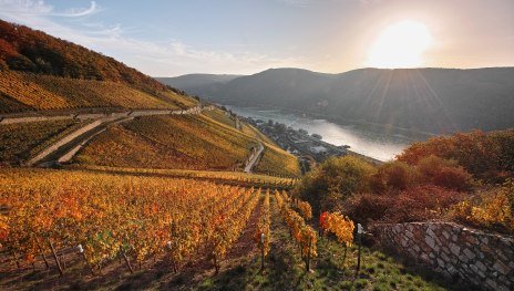 Assmannshausen  | © www.kulturland-rheingau.de - Rheingau-Taunus Kultur und Tourismus GmbH - Horst Goebel