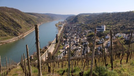 Blick auf Oberwesel | © Maximilian Siech