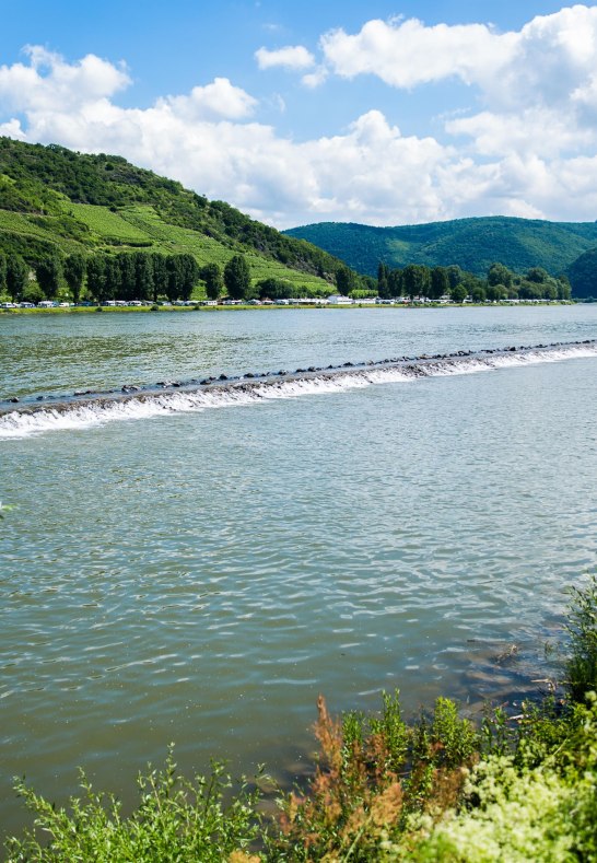 Blick von Osterspai auf Campingplatz | © Henry Tornow/Romantischer Rhein Tourismus GmbH