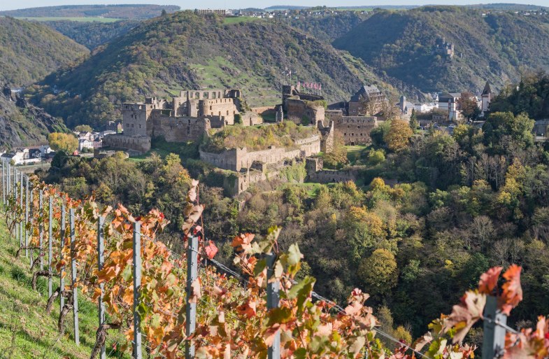 Rheinfels im Herbst | © Andreas Pacek, fototour-deutschland.de