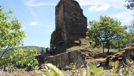 Die Welterbe Volunteers waren auf der Ruine Stahlberg in Bacharach Steeg im Einsatz.  | © ZV Welterbe 