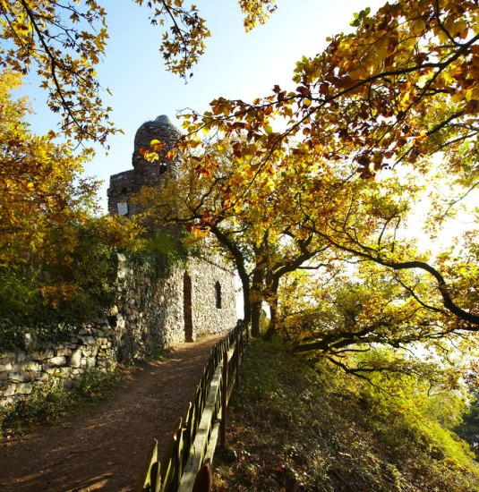 Ostein`scher Park | © O. Szekely