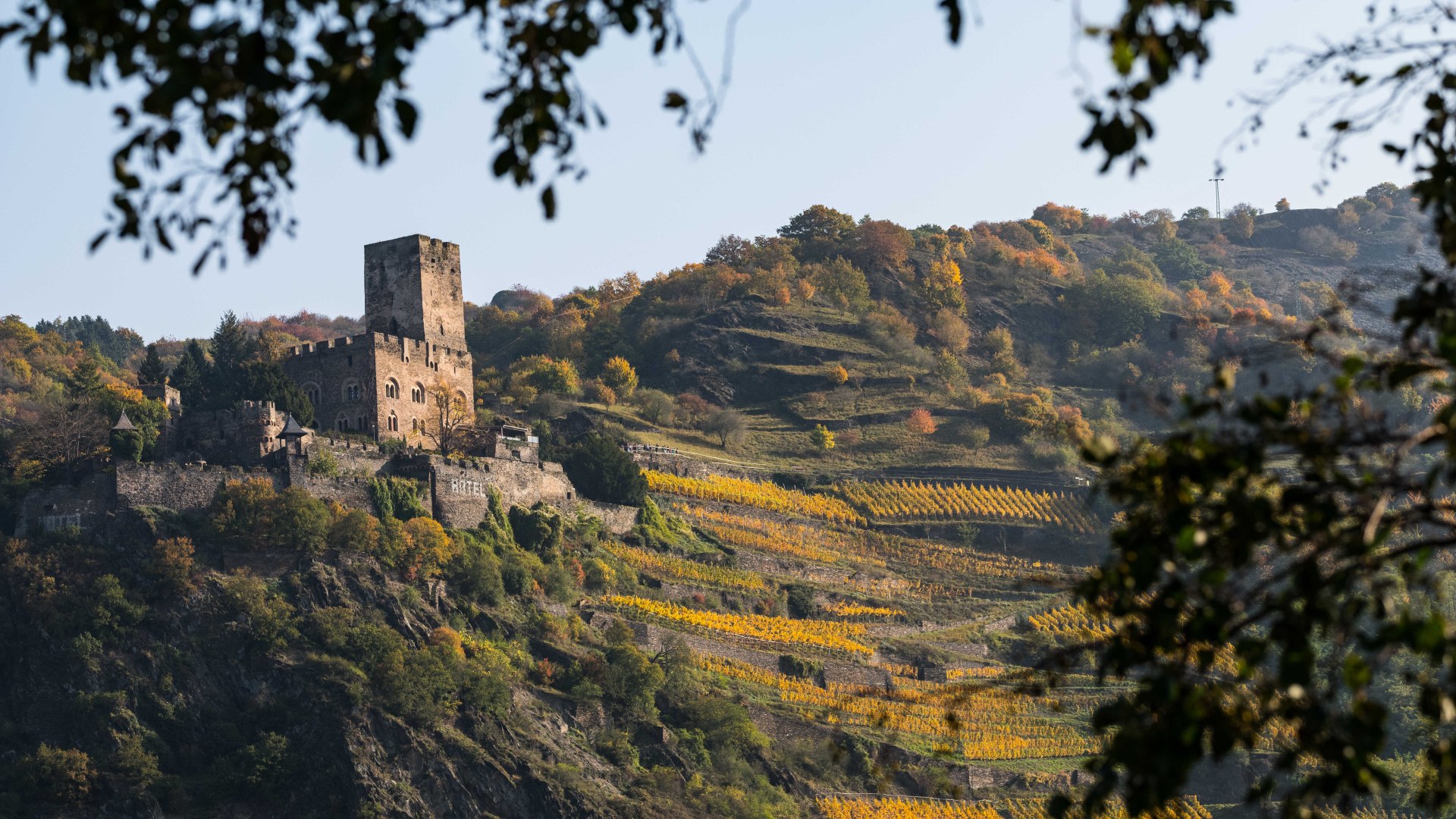 Gutenfels | © P!EL