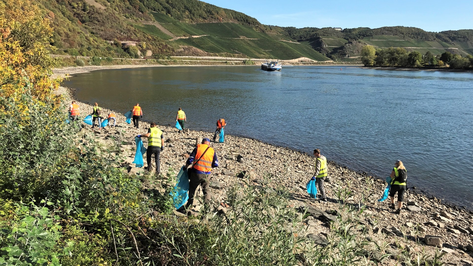 RhineCleanUp in Boppard | © Jürgen Johann