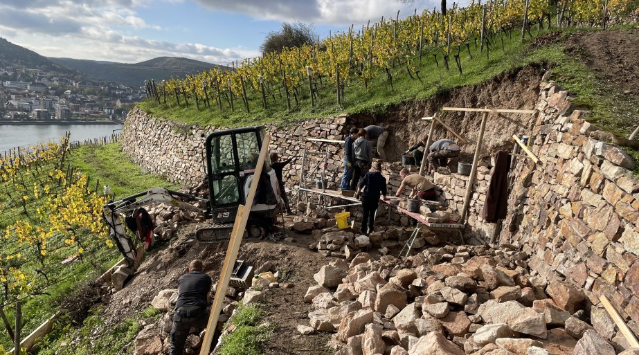 Trockenmauerbau in Rüdesheim | © Norbert Sehmer, Hochschule Geisenheim