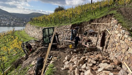 Trockenmauerbau in Rüdesheim | © Norbert Sehmer, Hochschule Geisenheim