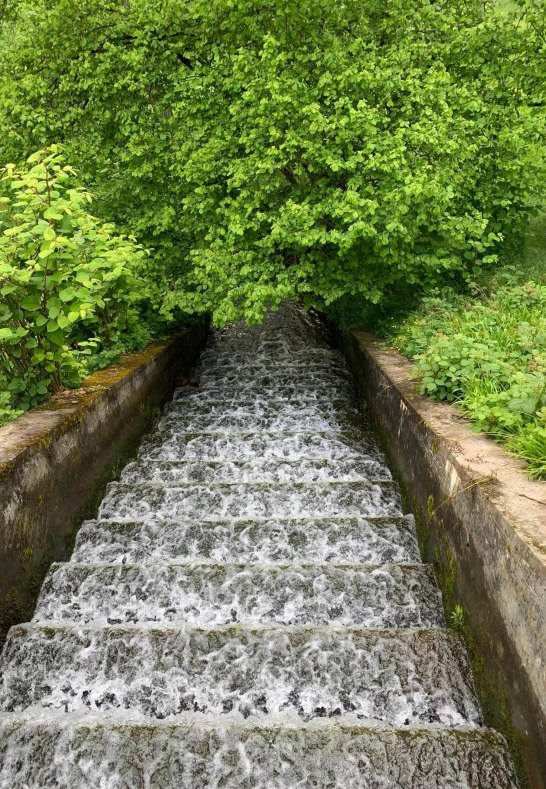 Marienberger Park 4 | © Tourist Information Boppard